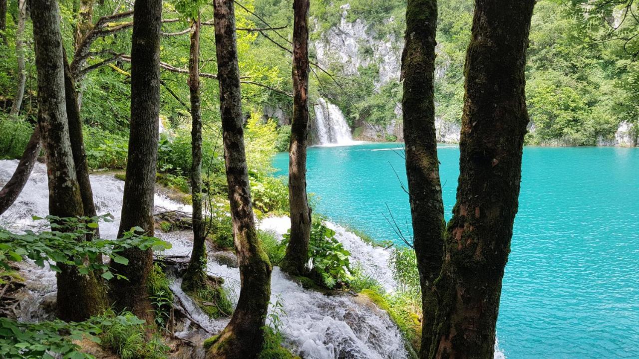 Plitvička Jezera B&B Plitvica Villa Prica المظهر الخارجي الصورة